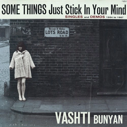 VASHTI BUNYAN / ヴァシュティ・バニヤン / SOME THINGS JUST STICK IN YOUR MIND