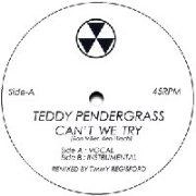 TEDDY PENDERGRASS / テディ・ペンダーグラス / CAN'T WE TRY(TIMMY REGISFORD REMIX)