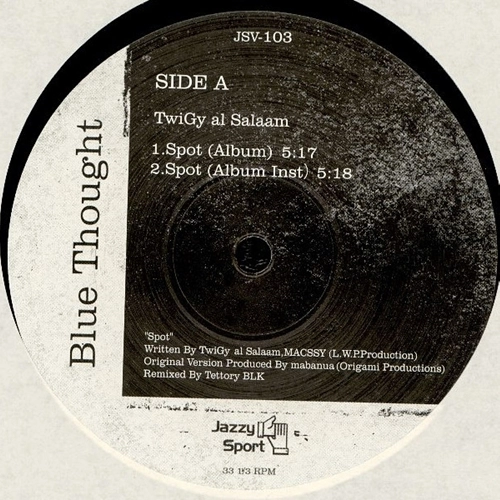 TWIGY / Spot (12INCH)
