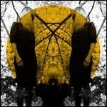 AUSTRA / アウストラ / FEEL IT BREAK (2LP)