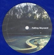 RENNIE FOSTER / レニー・フォスター / FALLING SKYWARD