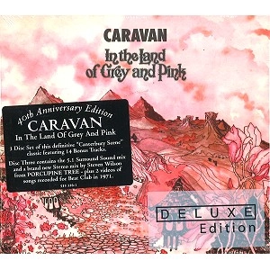 CARAVAN (PROG) / キャラバン / IN THE LAND OF GREY & PINK 40TH ANNIVERSAR