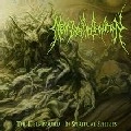 NEAR DEATH CONDITION / DISEMBODIED-IN SPIRITUAL SPHERES