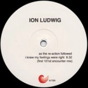 ION LUDWIG / AS THE REACTION FOLLOWED I KNEW MY FEELING