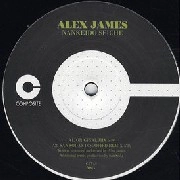 ALEX JAMES / NANKEIDO SEICHE/THEORY OF DEMOCRACY