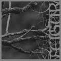 FEIGUR / II, DESOLATION<DIGI>