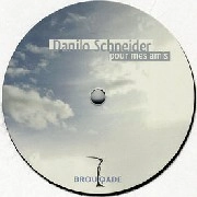 DANILO SCHNEIDER / POUR MES AMIS