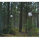 PETER BRYNGELSSON / ペーター・ブリンゲルソン / WUNDERBAUM