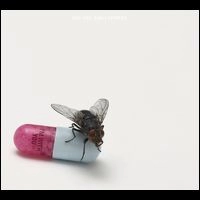 RED HOT CHILI PEPPERS / レッド・ホット・チリ・ペッパーズ / アイム･ウィズ･ユー