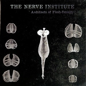 THE NERVE INSTITUTE / ナーヴ・インスティチュート / ARCHITECTS OF FLESH DENSITY