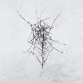 DEAD RAVEN CHOIR / SCHMERZENSGEWALT