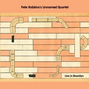 PETE ROBBINS / LIVE IN BROOKLYN