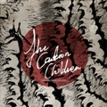 CAUTION CHILDREN / コーション・チルドレン / UNKNOWN LANDS