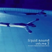 V.A.(PROJECT INTER.COM,TOM VAN DRAFT,ARCANUM & OTARION...) / LIQUID SOUND VOLUME 2