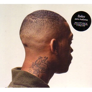 WILEY / ワイリー / 100% PUBLISHING