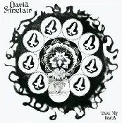 DAVID SINCLAIR / デイヴィッド・シンクレア / TAKE MY HAND