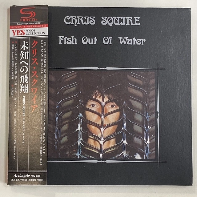 CHRIS SQUIRE / クリス・スクワイア / 未知への飛翔