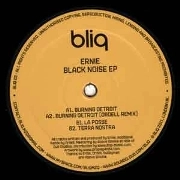 ERNIE / BLACK NOISE
