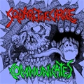 COMMUNICATES:SQUARE THE CIRCLE  / HARDCORE PUNK AND RESISTANCE