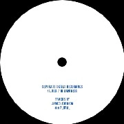 JAMES JOHNSON AKA PLURAL / IN DARKNESS