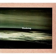 V.A.(MR.CLOUDY,MARTIN SCHULTE,SHINSUKE MATSUMOTO...) / WANDERING COMPILATION