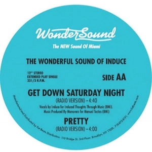 INDUCE (WONDERFUL SOUND OF INDUCE) / ワンダフル・サウンド・オブ・インデュース / PRETTY + GET DOWN SATURDAYNIGHT