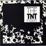 TNT (PUNK) / ティーエヌティー / REMEMBER