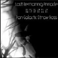 LAST REMAINING PINNACLE / PAN GALACTIC STRAW BOSS / SPLIT SINGLE