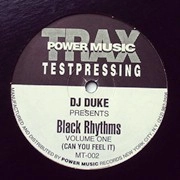 DJ DUKE / BLACK RHYTHMS VOLUME ONE(CAN YOU FEEL IT)