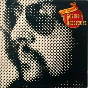 ANDY DESMOND / アンディ・デスモンド / LIVING ON A SHOESTRING