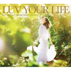 V.A. (LUV YOUR LIFE) / ＬＵＶ　ＹＯＵＲ　ＬＩＦＥ
