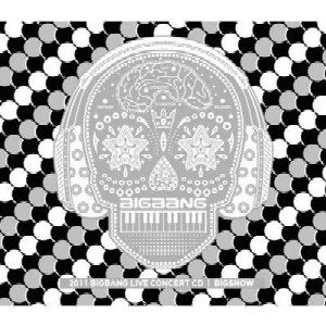 BIGBANG / ビッグバン (K-POP) / 2011 BIGBANG CONCERT LIVE ALBUM:BIG SHOW