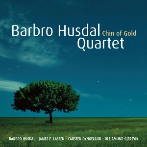 BARBRO HUSDAL / CHIN OF GOLD