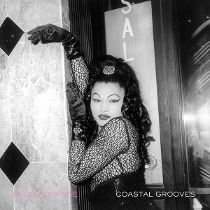 BLOOD ORANGE / ブラッド・オレンジ / COASTAL GROOVES (LP) 