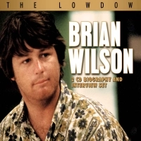 BRIAN WILSON / ブライアン・ウィルソン / LOWDOWN