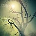 WAKE / ウェイク / レスト / REST