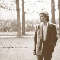 DAVID SYLVIAN / デヴィッド・シルヴィアン / ブリリアント・トゥリーズ　　　