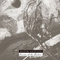 DAVID SYLVIAN / デヴィッド・シルヴィアン / シークレッツ・オブ・ザ・ビーハ