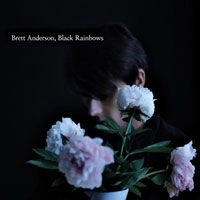BRETT ANDERSON / ブレット・アンダーソン / ブラック・レインボウズ