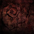 AXIS OF PERDITION / ENEMENTSOF THE ANOINTED FLESH