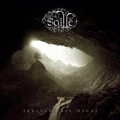 SAILLE / IRREVERSIBLE DECAY