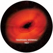 TRAVERSABLE WORMHOLE / TRAVERSABLE WORMHOLE VOL.8