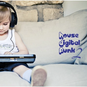 V.A. (HOUSE DIGITAL FUNK) / HOUSE DIGITAL FUNK 2