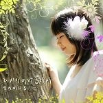 金丸明日香 / ひかりの灯る場所