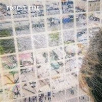 FOREST FIRE / STARING AT THE X