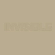 V.A.(NOISIA & PHACE,ZERO T & FD,SABRE, STRAY & HALOGENIX...) / INVISIBLE 004 EP
