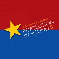 V.A. (SHOEGAZER) / REVOLUTION IN SOUND II