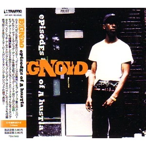 BIG NOYD / ビッグ・ノイド / ｅｐｉｓｏｄｅｓ　ｏｆ　ａ　ｈｕｓｔｌａ