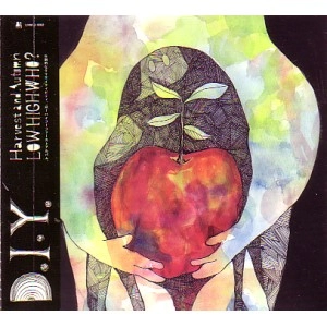 LOW HIGH WHO? / ロウ・ハイ・フー? / Ｄ．Ⅰ．Ｙ．