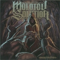 MOLOTOV SOLUTION / INSURRECTION